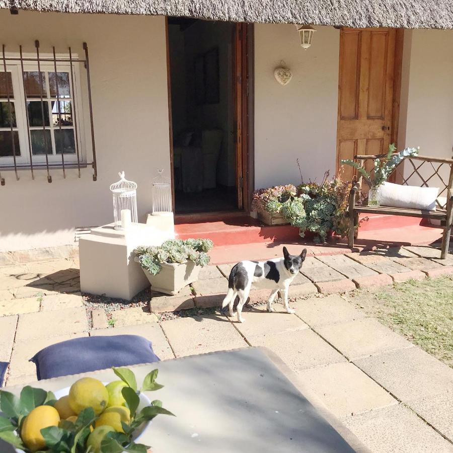 Erin Guesthouse And B&B Bergville Exterior foto
